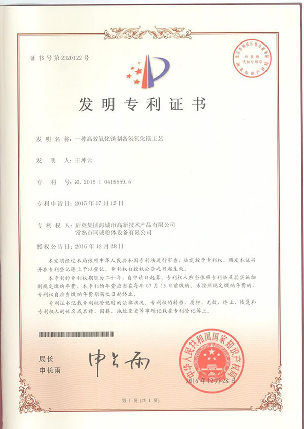 氧化镁消化系统发明专利